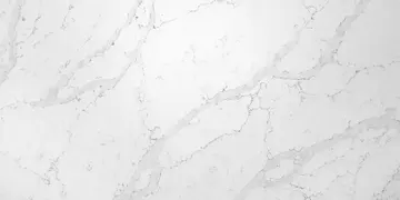 Omnia Quartz · OQ393 · Calacatta Maxima surface