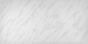 Omnia Quartz · OQ399 · Calacatta Renoir surface