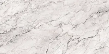 Omnia Quartz · OQ525 · Camouflage surface