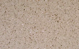 TCE Stone · TCE 1529 · Light Brick surface