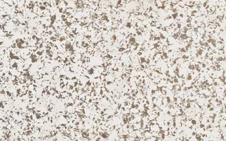 TCE Stone · TCE 6021 · Sepia Swirl surface